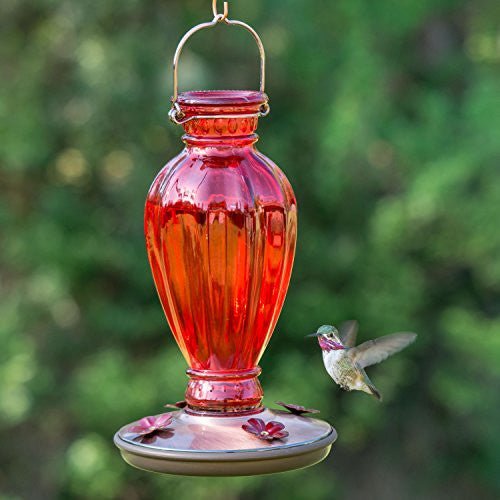 Perky-Pet 8133-2 Red Daisy Vase Vintage-Style Glass Hummingbird Feeder - JCS Wildlife