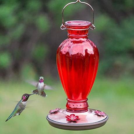 Perky-Pet 8133-2 Red Daisy Vase Vintage-Style Glass Hummingbird Feeder - JCS Wildlife