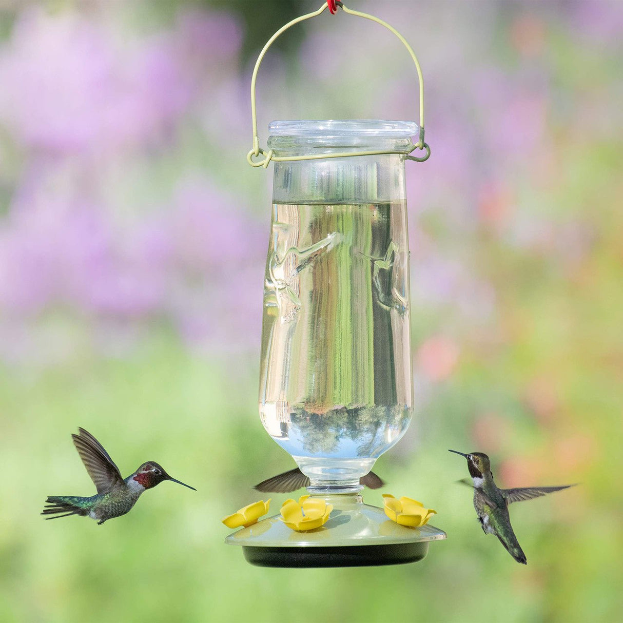 Hummingbirds feeding from Perky-Pet 9108 Desert Bloom Top-Fill Glass Hummingbird Feeder in a lush garden