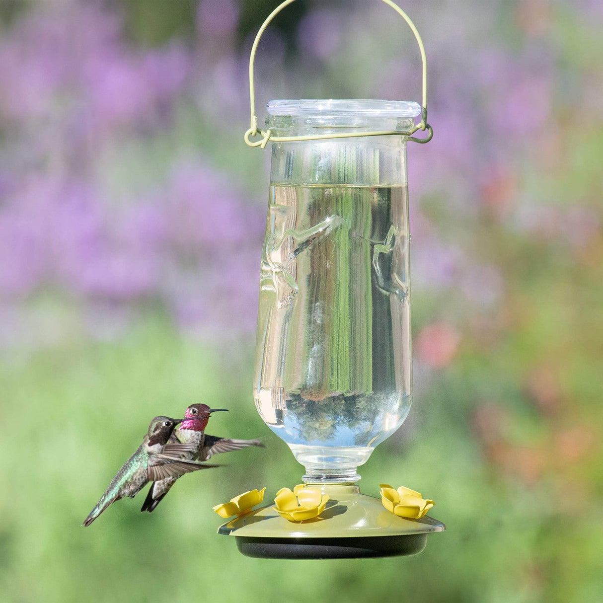 Hummingbird feeding at Perky-Pet 9108 Desert Bloom Top-Fill Glass Hummingbird Feeder in a garden