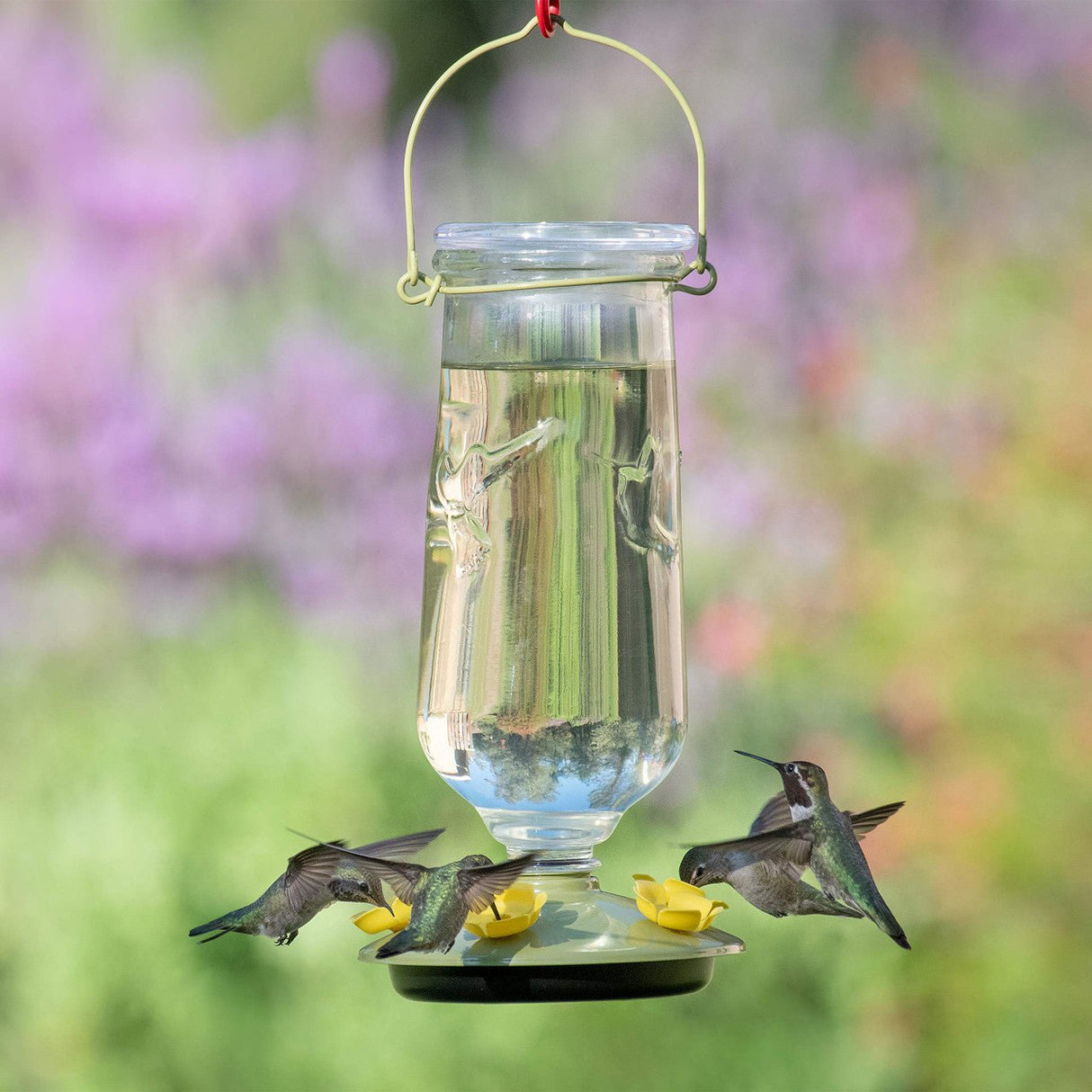 Perky-Pet Desert Bloom Top-Fill Glass Hummingbird Feeder with three hummingbirds feeding