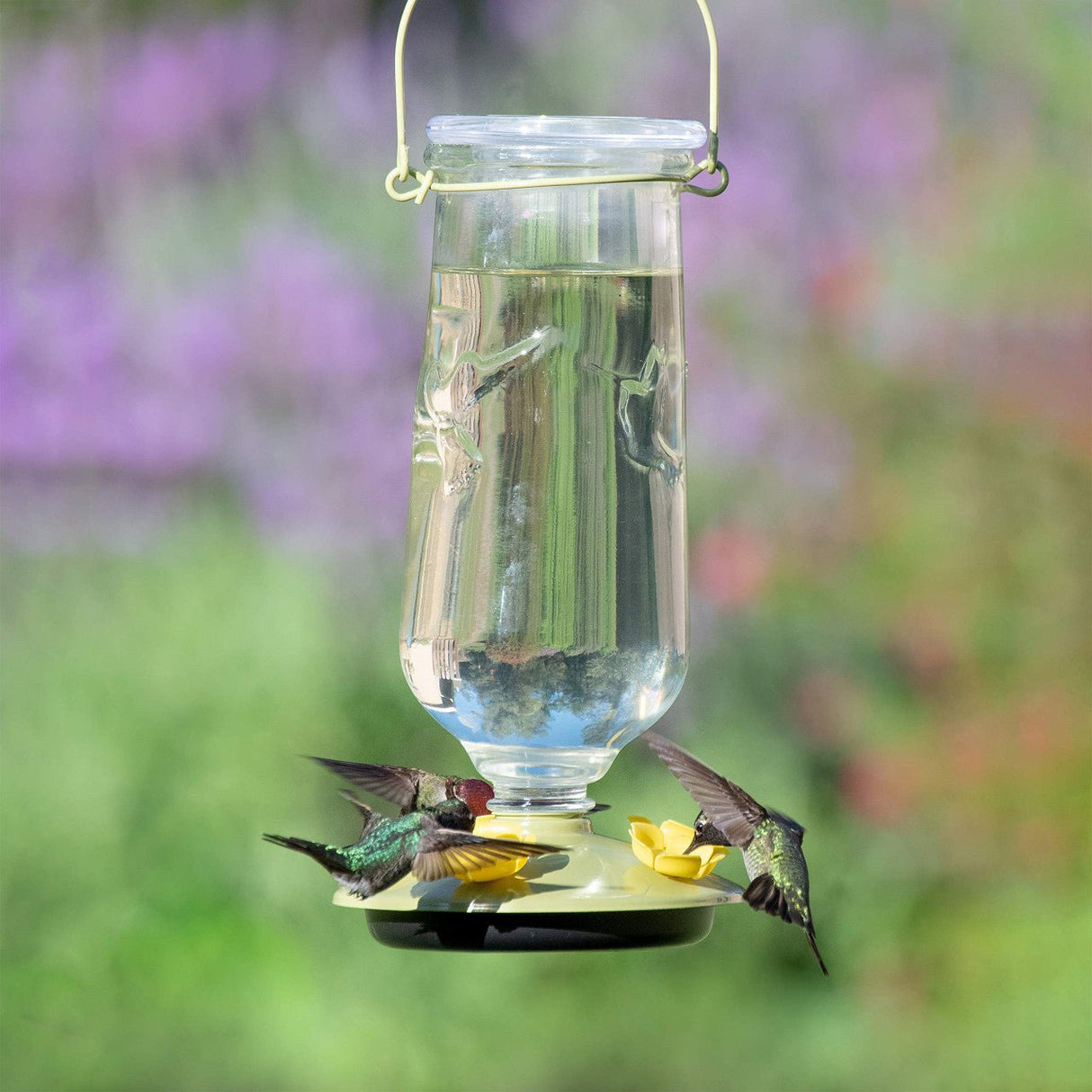 Two hummingbirds feeding at Perky-Pet Desert Bloom Top-Fill Glass Hummingbird Feeder in garden.