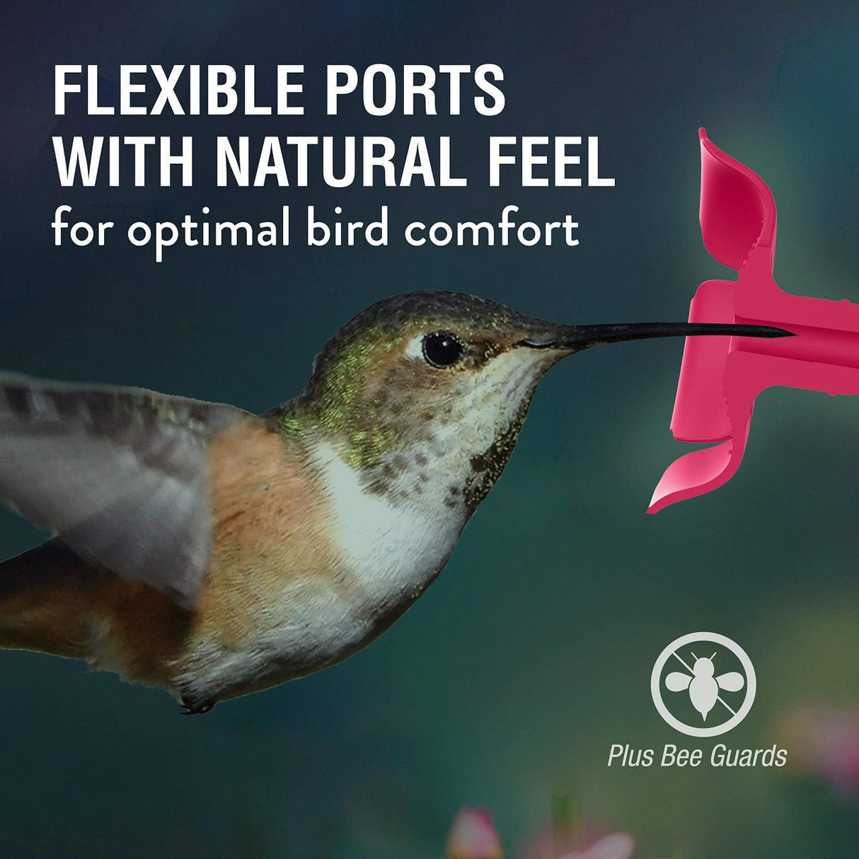 Hummingbird feeding from flexible port on Perky-Pet 9109 Crystal Top-Fill Glass Hummingbird Feeder with natural feel and bee guards.