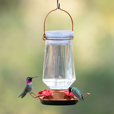 Perky-Pet Crystal Top-Fill Glass Hummingbird Feeder with two hummingbirds feeding, hanging in a green backyard.