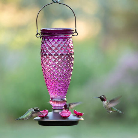 Perky-Pet Diamond Wine Top-Fill Glass Hummingbird Feeder with Wide-Mouth Opening, 24 oz Capacity, and Hummingbirds Drinking Nectar
