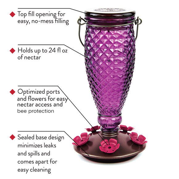 Perky-Pet Diamond Wine Top-Fill Glass Hummingbird Feeder 24 oz with optimized ports, sealed base, and easy no-mess filling.