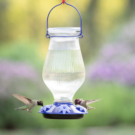 Perky-Pet Grand Oasis Top-Fill Glass Hummingbird Feeder 38 oz - JCS Wildlife