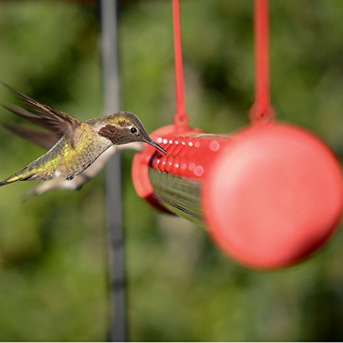Perky-Pet Hummerbar 22 Ports Revolutionary New Hummingbird Feeding System - JCS Wildlife