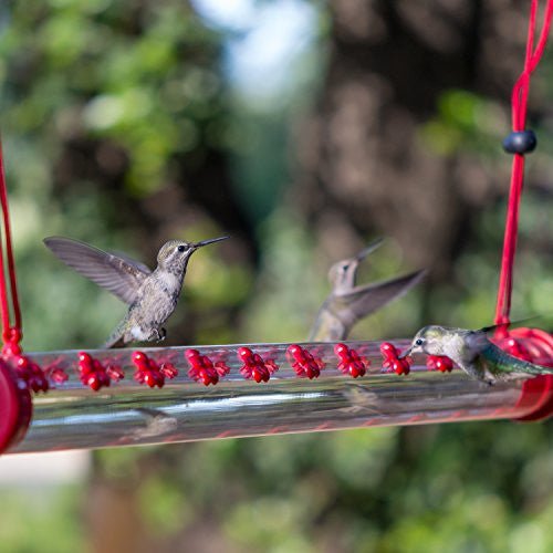 Perky-Pet Hummerbar 22 Ports Revolutionary New Hummingbird Feeding System - JCS Wildlife