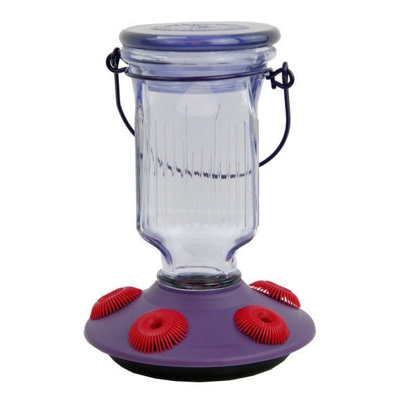 Perky-Pet Lavender Field Top-Fill Glass Hummingbird Feeder 16 oz - JCS Wildlife