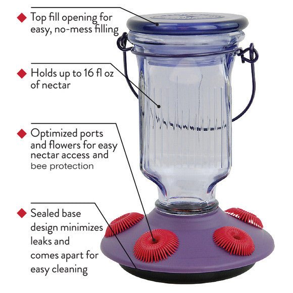 Perky-Pet Lavender Field Top-Fill Glass Hummingbird Feeder 16 oz - JCS Wildlife