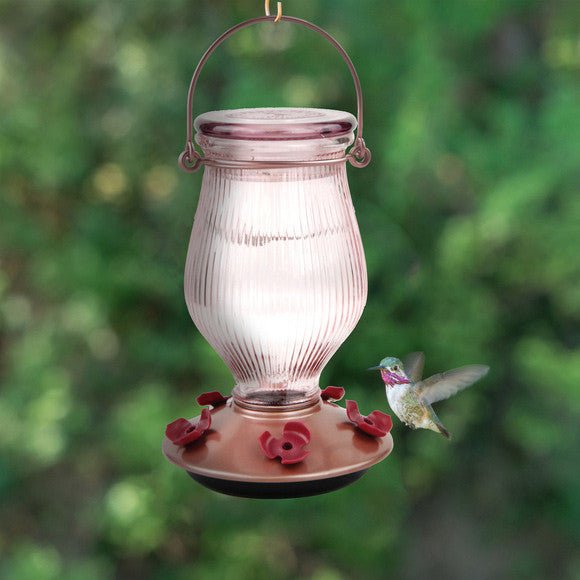 Perky-Pet Rose Gold Top-Fill Glass Hummingbird Feeder with 24 oz capacity hanging in a garden, visited by a hummingbird.