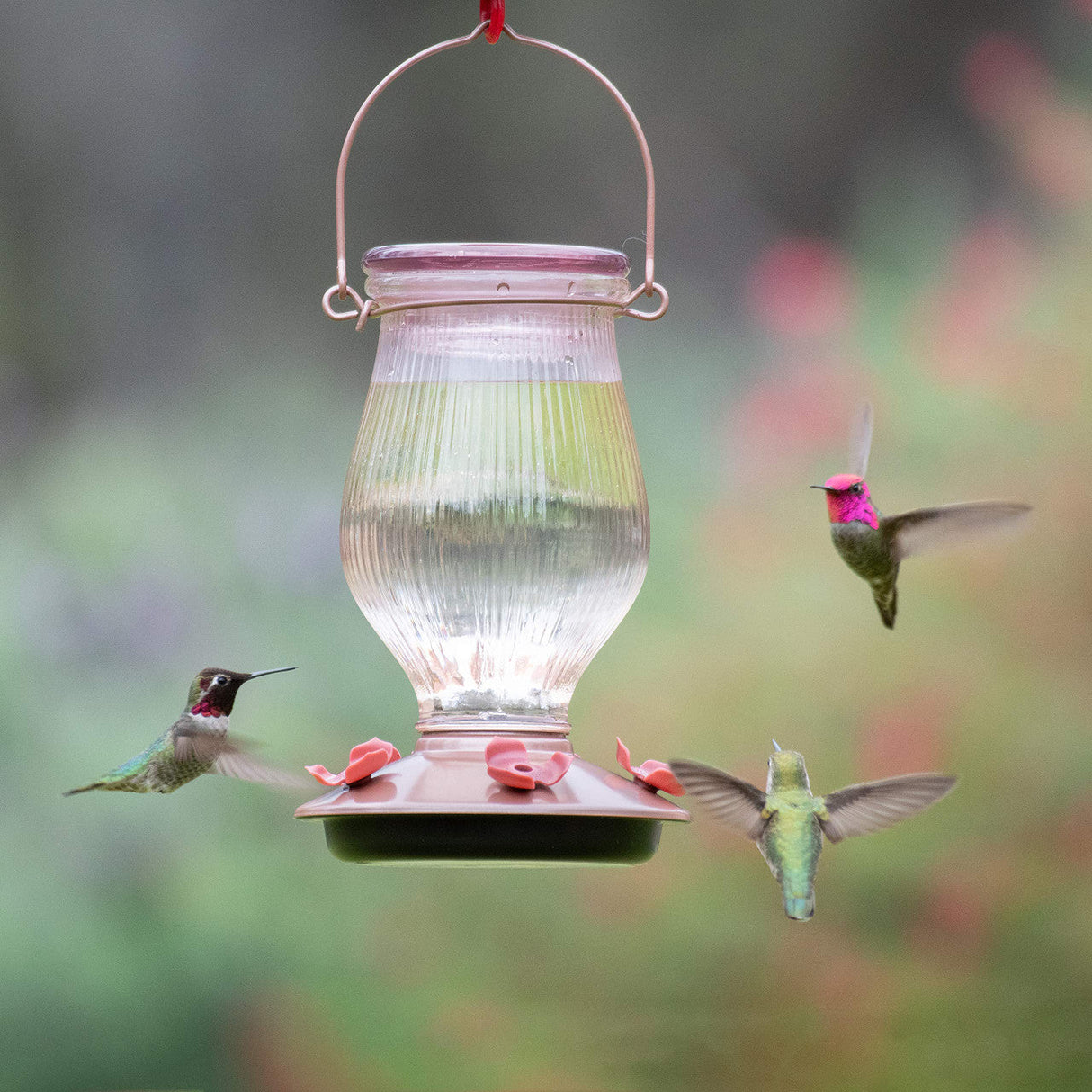 Perky-Pet Rose Gold Top-Fill Glass Hummingbird Feeder with three hummingbirds feeding in a garden setting.