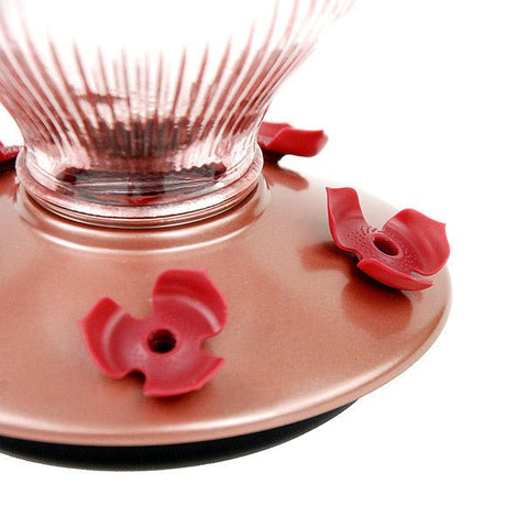 Close-up of Perky-Pet Rose Gold Top-Fill Glass Hummingbird Feeder base with red flower-shaped feeding ports and wide-mouth opening.