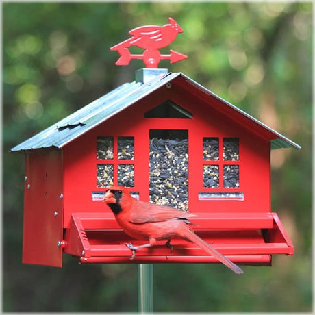Perky Pet Squirrel Be Gone II bird feeder with a cardinal weathervane and red bird perching, squirrel-proof and easy to fill.