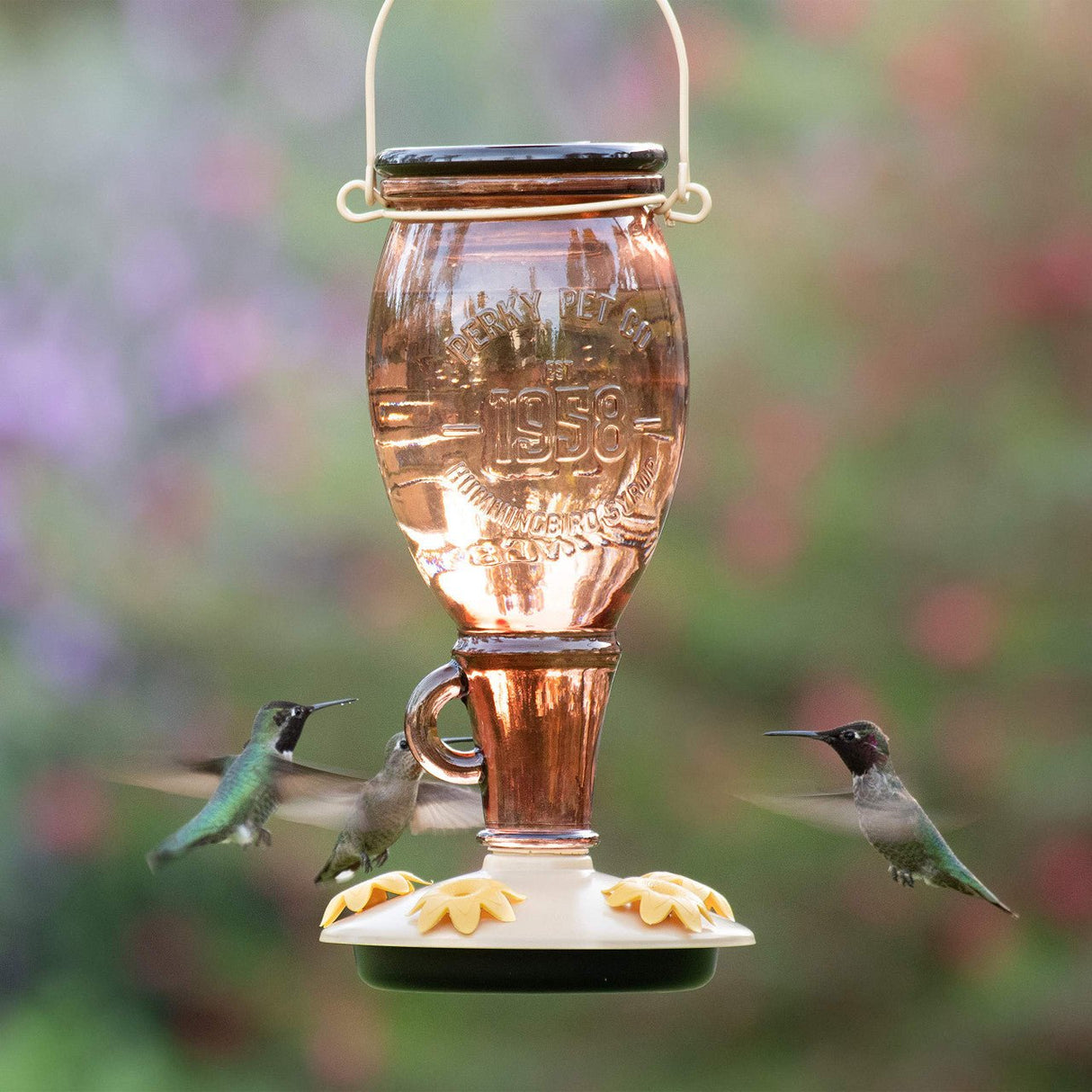 Perky-Pet Sugar Maple Top-Fill Glass Hummingbird Feeder with hummingbirds feeding, wide-mouth design, 24 oz capacity