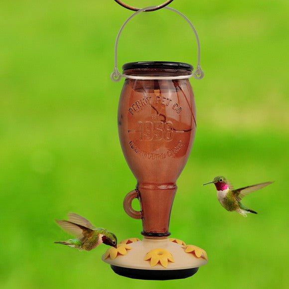 Perky-Pet Sugar Maple Top-Fill Glass Hummingbird Feeder 24 oz with two hummingbirds feeding.