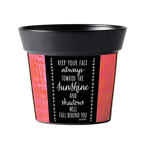 Studio M Toward the Sunshine 6" Art Pot with vibrant design and motivational quote for potted plants.