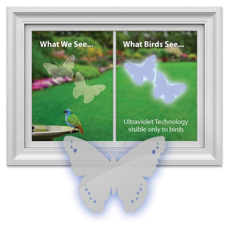 Window Alert 4 Butterfly Decals Protect Wild Birds - JCS Wildlife
