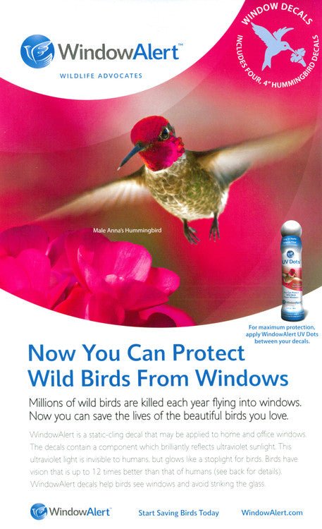 Print advertisement featuring a male Anna's hummingbird in flight against a vibrant pink background with bright pink flowers and a bottle of WindowAlert UV Dots to protect birds from windows