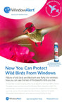 Window Alert 4 Hummingbird Decals Protect Wild Birds - JCS Wildlife