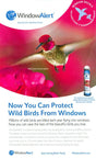 Print advertisement featuring a male Anna's hummingbird in flight against a vibrant pink background with bright pink flowers and a bottle of WindowAlert UV Dots to protect birds from windows