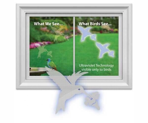 Window decal showing ultraviolet reflection that prevents bird collisions with glass for bird safety.