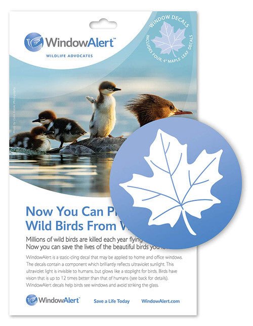 WindowAlert package with maple leaf decal to protect wild birds from window collisions