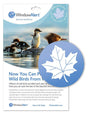 WindowAlert package with maple leaf decal to protect wild birds from window collisions