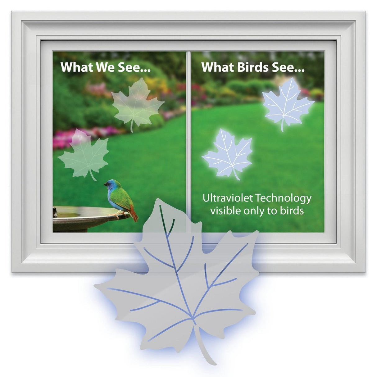Window Alert maple leaf decals on window with UV technology to protect birds from collisions.