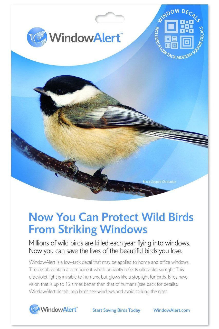 Window Alert 4 Modern Square Decals to Protect Wild Birds from Striking Windows