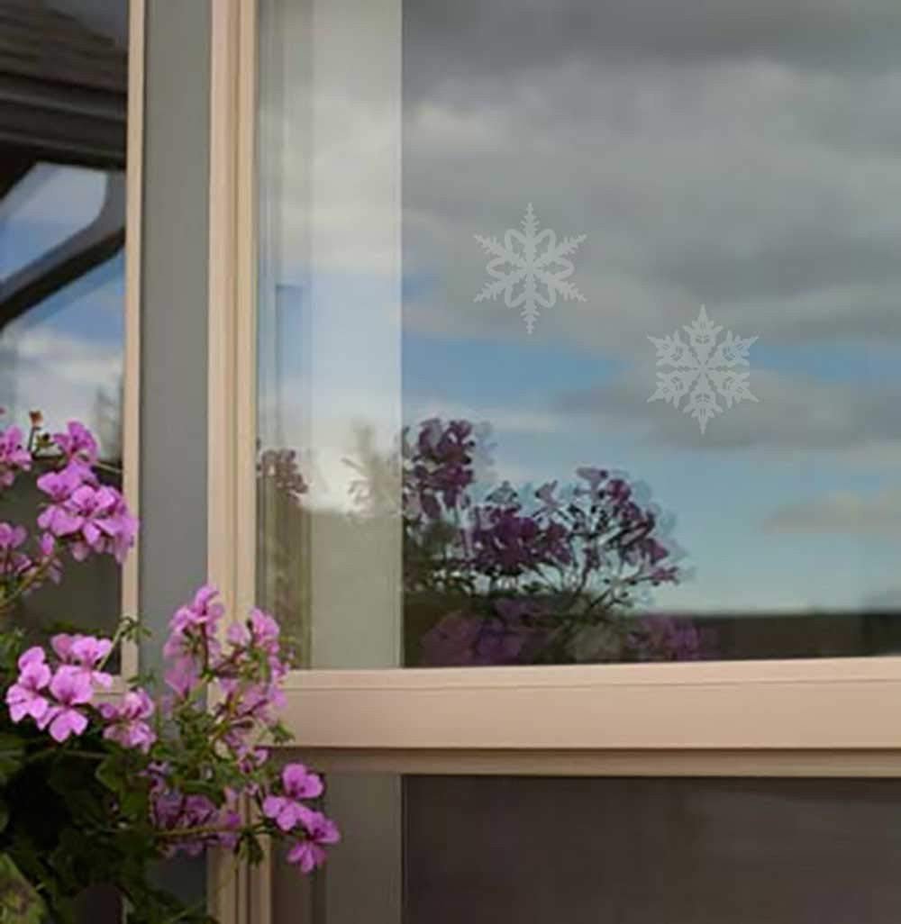 Photograph of a window featuring etched snowflake designs reflecting a partly cloudy sky and vibrant purple flowers with beige window frames.