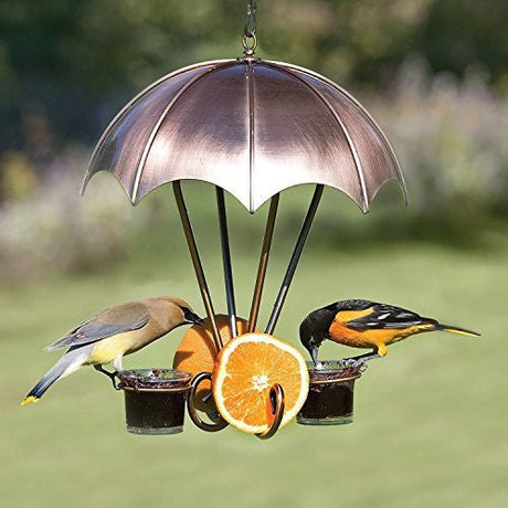 Metal bird feeder with umbrella design showing cedar waxwing and Baltimore oriole birds feeding on oranges and jelly outdoors under a copper-toned canopy with clear glass dishes