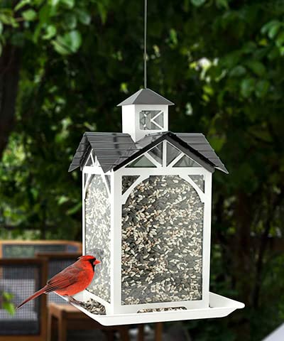 Woodlink Modern Farmhouse Metal and Glass Stable Feeder in white with bird perched, showcasing farmhouse style for backyard birds.