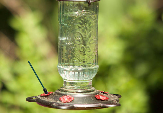 Cleaning Hummingbird Feeders - JCS Wildlife