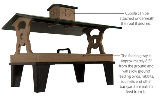 What Bird Feeder is Best For Me? We can help! | JCs Wildlife - JCS Wildlife