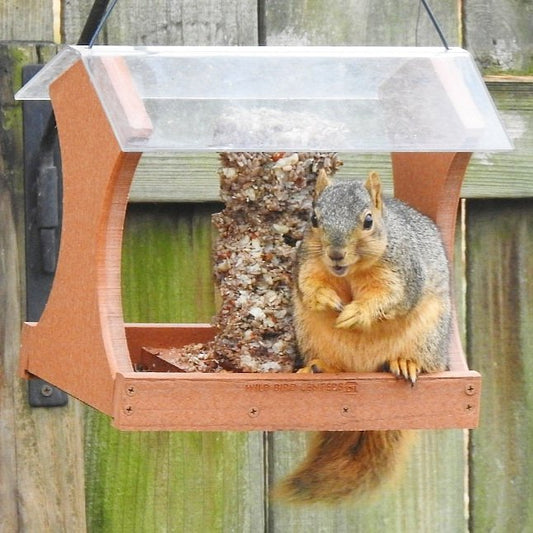 anti squirrel bird feeder