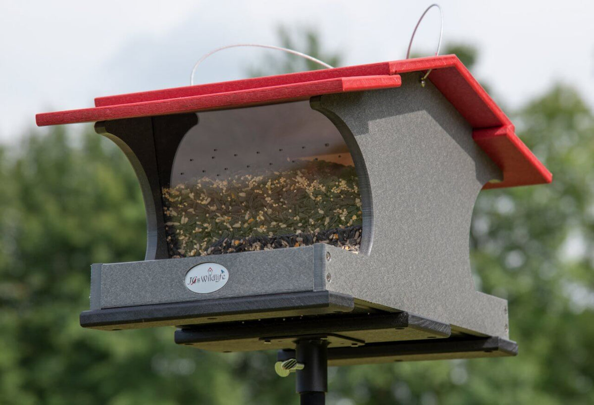 Now is the Ideal Time to Set Up Your Wild Bird Feeders