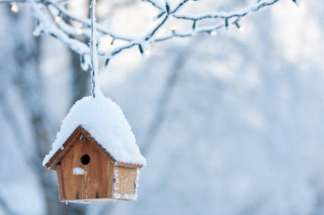 WinterProofing Your Birdhouse - JCS Wildlife