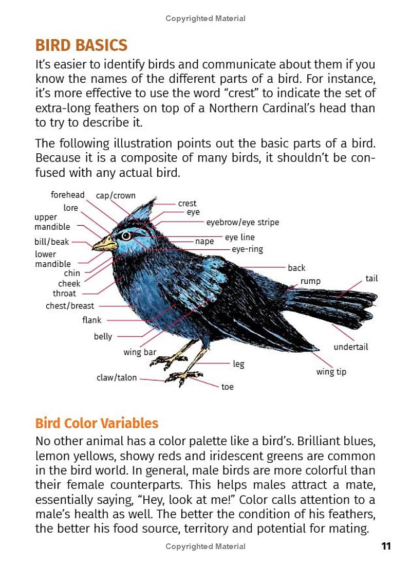 Birds of Indiana 2nd Edition