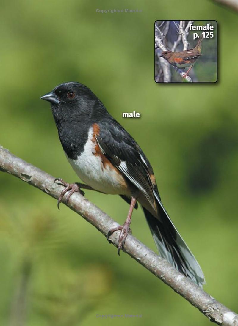 Birds of Indiana 2nd Edition