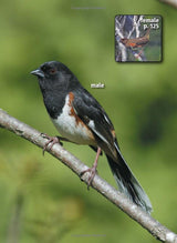 Birds of Indiana 2nd Edition