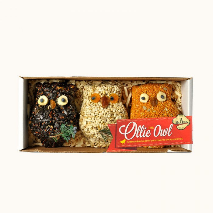 Mr. Bird Ollie the Owl Assortment Pack