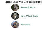 Ultimate Poly Screech Owl or Saw-Whet Owl House Nesting Box