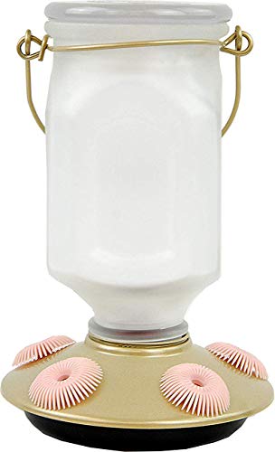 Perky-Pet Sun-Kissed Top-Fill Glass Hummingbird Feeder 22 oz