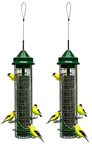 Brome Squirrel Buster Finch Squirrel Proof 1016 Bird Feeder