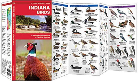 Kingsley's folding pocket guide featuring Indiana birds near a waterfall and showcasing a vibrant ring-necked pheasant, a variety of ducks, and colorful woodpeckers
