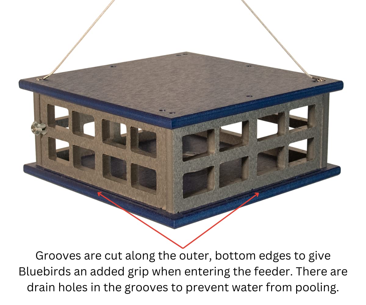 JCS Wildlife Recycled Poly Lumber Caged Platform Bluebird Feeder (Single Cup)