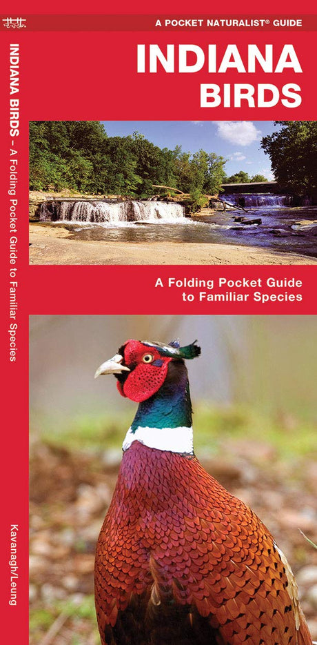 Kavanagh/Leung's Indiana Birds guide featuring a vibrant ring-necked pheasant with a red face and iridescent green neck near a waterfall and covered bridge in Indiana
