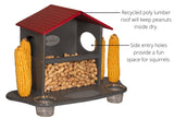 JCS Wildlife Squirrel Snack Station (Small & Large)